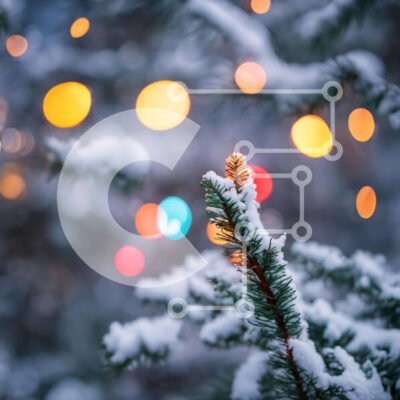 Intra Συλλεκτικό Ξύλινο Παζλ Plywood  4mm - Χιονισμένο κλαδί δέντρου με πολύχρωμα φώτα Σε Ξύλινο Κουτί - Διαστάσεις Puzzle: 10x10 cm – 25 κομμάτια - Image 1