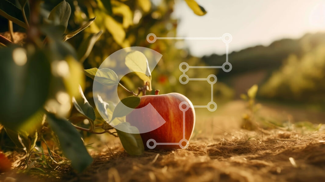 Intra Συλλεκτικό Ξύλινο Παζλ Plywood  4mm - Μήλο σε ένα πράσινο χωράφι με δέντρα στο φόντο Σε Ξύλινο Κουτί - Διαστάσεις: 10x10 cm – 25 κομμάτια