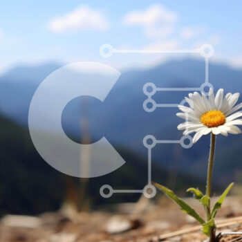 Intra Συλλεκτικό Ξύλινο Παζλ Plywood 4mm - Single White Daisy Against Mountain Backdrop Σε Ξύλινο Κουτί - Διαστάσεις: 10x10 cm – 25 κομμάτια - Image 1