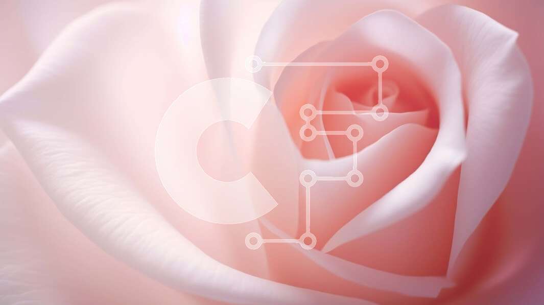 Intra Συλλεκτικό Ξύλινο Παζλ Plywood  4mm - Κοντινό πλάνο ενός ροζ τριαντάφυλλου στην άνθιση Σε Ξύλινο Κουτί - Διαστάσεις: 10x10 cm – 25 κομμάτια