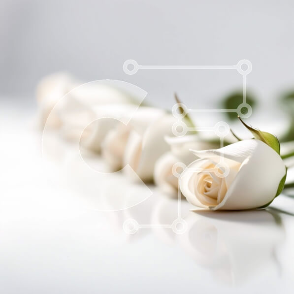 Intra Συλλεκτικό Ξύλινο Παζλ Plywood  4mm - Κομψή εικόνα λευκών τριαντάφυλλων με αντανάκλαση στο τραπέζι Σε Ξύλινο Κουτί - Διαστάσεις: 10x10 cm – 25 κομμάτια