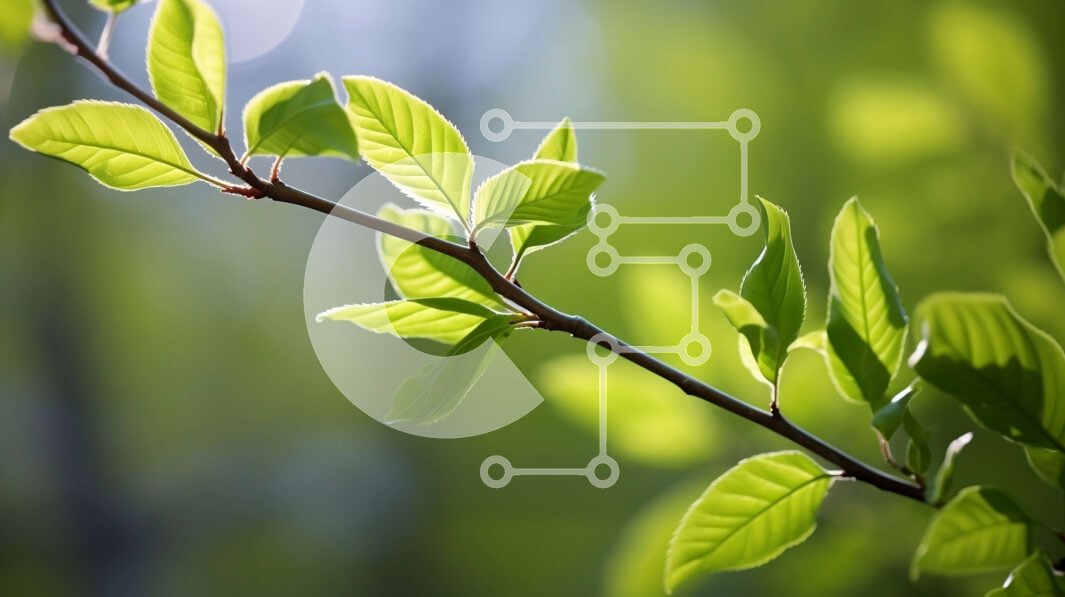 Intra Συλλεκτικό Ξύλινο Παζλ Plywood  4mm - Κοντινό πλάνο των πράσινων φύλλων σε κλαδί δέντρου Σε Ξύλινο Κουτί - Διαστάσεις: 10x10 cm – 25 κομμάτια