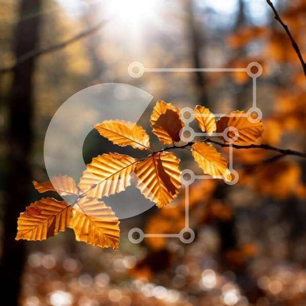 Intra Συλλεκτικό Ξύλινο Παζλ Plywood  4mm - Κοντινό πλάνο με φθινοπωρινά φύλλα σε ένα κλαδί με το φως του ήλιου να λάμπει Σε Ξύλινο Κουτί - Διαστάσεις: 10x10 cm – 25 κομμάτια