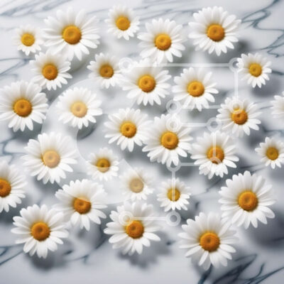 Intra Συλλεκτικό Ξύλινο Παζλ Plywood 4mm - Όμορφη εικόνα λευκών μαργαριτών σε μαρμάρινη επιφάνεια Σε Ξύλινο Κουτί - Διαστάσεις: 10x10 cm – 25 κομμάτια - Image 1