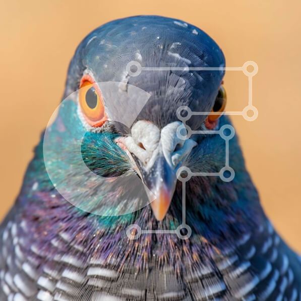 2imXyGoswWYQkCm7SnczkxNJ0XX-desktop