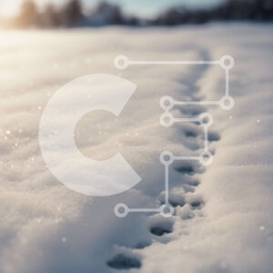 Intra Συλλεκτικό Ξύλινο Παζλ Plywood  4mm - Χιονισμένο τοπίο με ίχνη Σε Ξύλινο Κουτί - Διαστάσεις: 10x10 cm – 25 κομμάτια