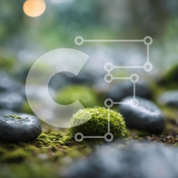 Intra Συλλεκτικό Ξύλινο Παζλ Plywood  4mm - Κοντινό πλάνο βράχου καλυμμένου με βρύα στο δάσος Σε Ξύλινο Κουτί - Διαστάσεις: 10x10 cm – 25 κομμάτια