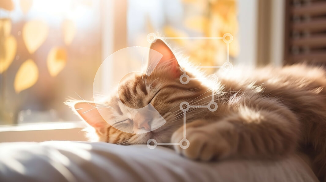 Intra Συλλεκτικό Ξύλινο Παζλ Plywood  4mm - Κοιμισμένη πορτοκαλί τιγρέ γάτα σε λευκό μαξιλάρι Σε Ξύλινο Κουτί - Διαστάσεις: 10x10 cm – 25 κομμάτια