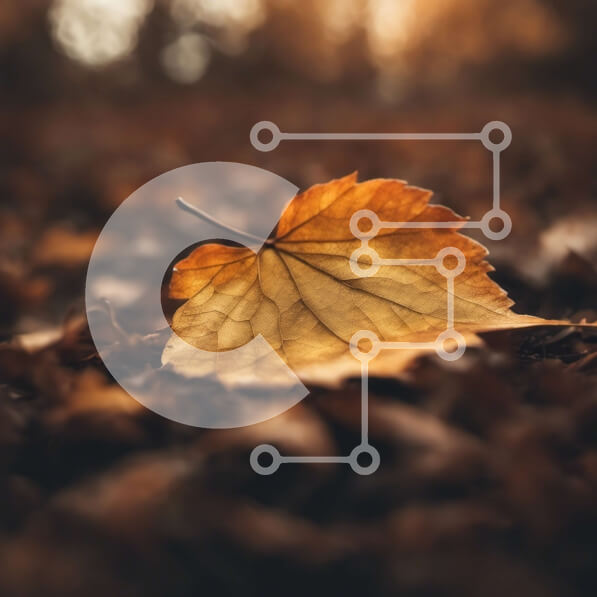 2imY3S0jWdvgTjjS2RD8mH2oDer-desktop