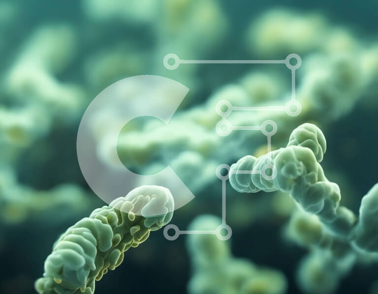 Intra Συλλεκτικό Ξύλινο Παζλ Plywood  4mm - Κοντινή όψη ενός λευκού αιμοσφαιρίου Σε Ξύλινο Κουτί - Διαστάσεις Puzzle: 10x10 cm – 25 κομμάτια