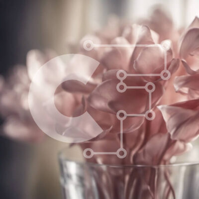 Intra Συλλεκτικό Ξύλινο Παζλ Plywood  4mm - Ροζ λουλούδια σε ένα βάζο δίπλα σε ένα παράθυρο Σε Ξύλινο Κουτί - Διαστάσεις: 10x10 cm – 25 κομμάτια - Image 1