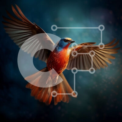 Intra Συλλεκτικό Ξύλινο Παζλ Plywood  4mm - Όμορφη εικόνα ενός κόκκινου και μπλε πουλιού κατά την πτήση Σε Ξύλινο Κουτί - Διαστάσεις: 10x10 cm – 25 κομμάτια - Image 1