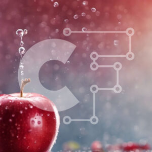 Intra Συλλεκτικό Ξύλινο Παζλ Plywood  4mm - Φρέσκο ​​και ζουμερό κόκκινο μήλο με σταγονίδια νερού Σε Ξύλινο Κουτί - Διαστάσεις: 10x10 cm – 25 κομμάτια