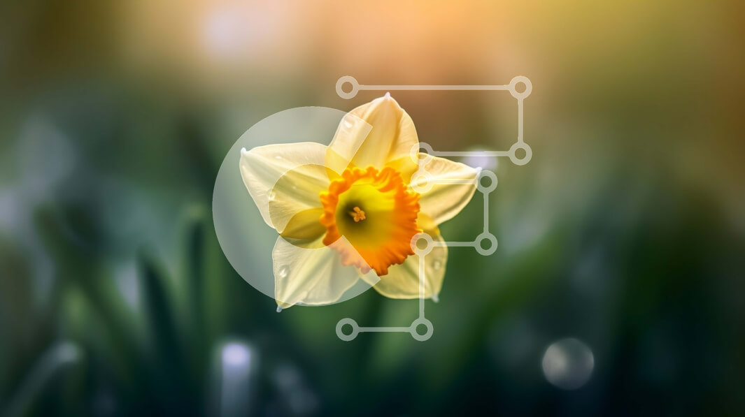 Intra Συλλεκτικό Ξύλινο Παζλ Plywood  4mm - Όμορφη εικόνα ενός κίτρινου λουλουδιού ασφόδελου στο προσκήνιο Σε Ξύλινο Κουτί - Διαστάσεις: 10x10 cm – 25 κομμάτια