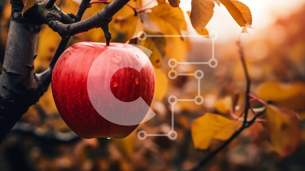 Intra Συλλεκτικό Ξύλινο Παζλ Plywood  4mm - Κόκκινο μήλο που κρέμεται από κλαδί δέντρου Σε Ξύλινο Κουτί - Διαστάσεις: 10x10 cm – 25 κομμάτια