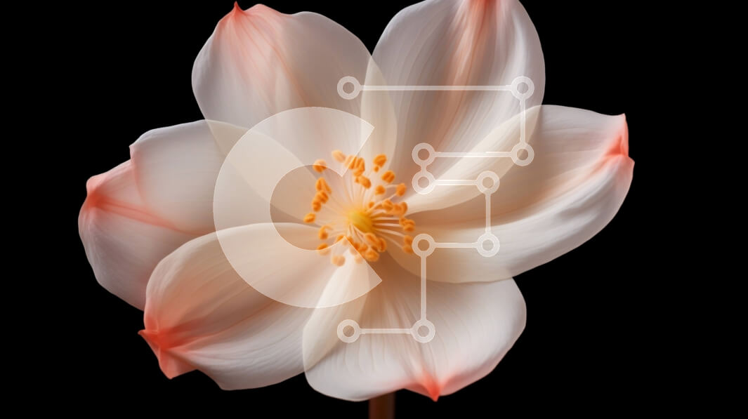 Intra Συλλεκτικό Ξύλινο Παζλ Plywood  4mm - Μονό λευκό λουλούδι με πορτοκαλί πέταλα σε μαύρο φόντο Σε Ξύλινο Κουτί - Διαστάσεις: 10x10 cm – 25 κομμάτια