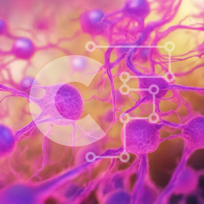 Intra Συλλεκτικό Ξύλινο Παζλ Plywood  4mm - Κοντινή όψη μωβ και ροζ κυττάρων σε ιστό ή όργανο Σε Ξύλινο Κουτί - Διαστάσεις Puzzle: 10x10 cm – 25 κομμάτια - Image 1