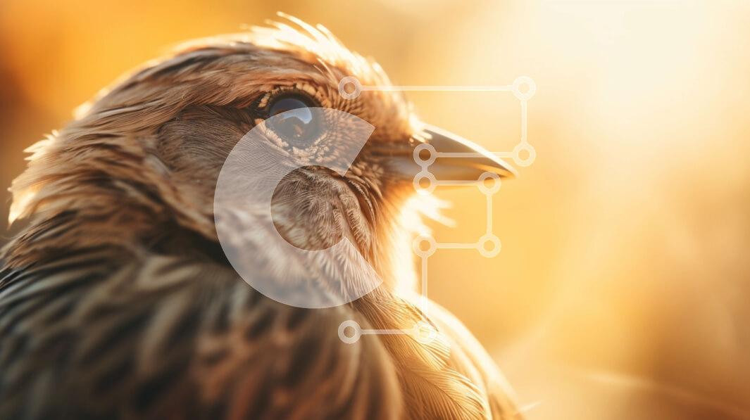 Intra Συλλεκτικό Ξύλινο Παζλ Plywood  4mm - Καφέ πουλί που κοιτάζει μακριά Σε Ξύλινο Κουτί - Διαστάσεις: 10x10 cm – 25 κομμάτια