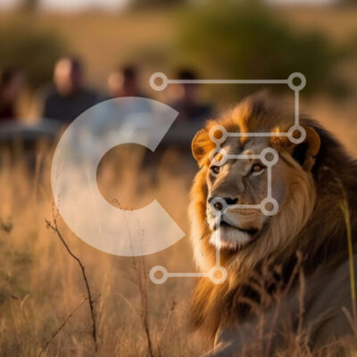 Intra Συλλεκτικό Ξύλινο Παζλ Plywood 4mm - Όμορφη εικόνα ενός λιονταριού σε ένα χωράφι Σε Ξύλινο Κουτί - Διαστάσεις: 10x10 cm – 25 κομμάτια - Image 1