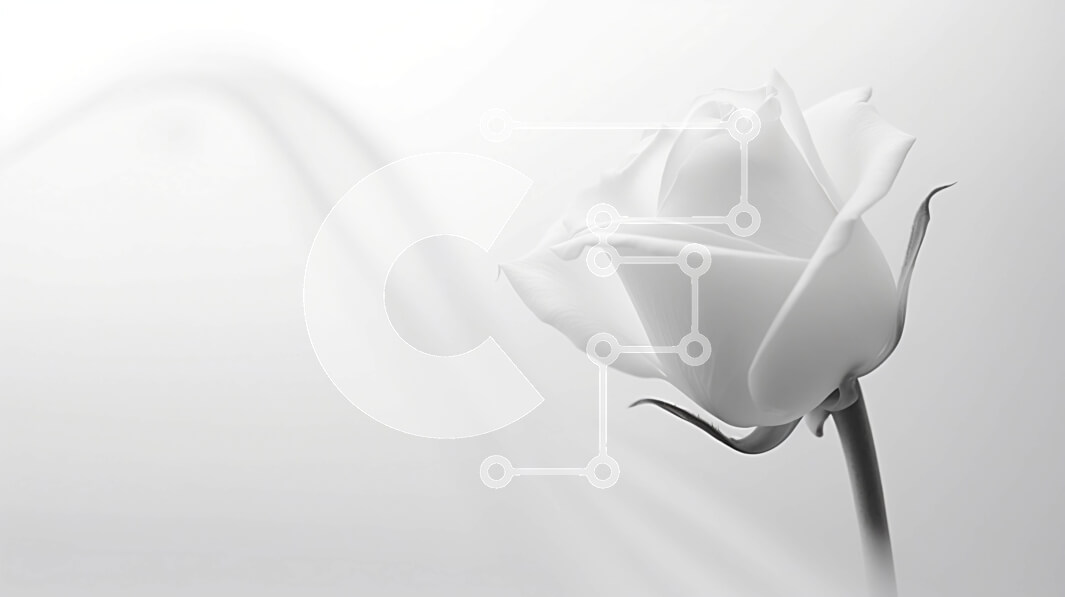 Intra Συλλεκτικό Ξύλινο Παζλ Plywood  4mm - Λευκό τριαντάφυλλο που επιπλέει στον αέρα Σε Ξύλινο Κουτί - Διαστάσεις: 10x10 cm – 25 κομμάτια