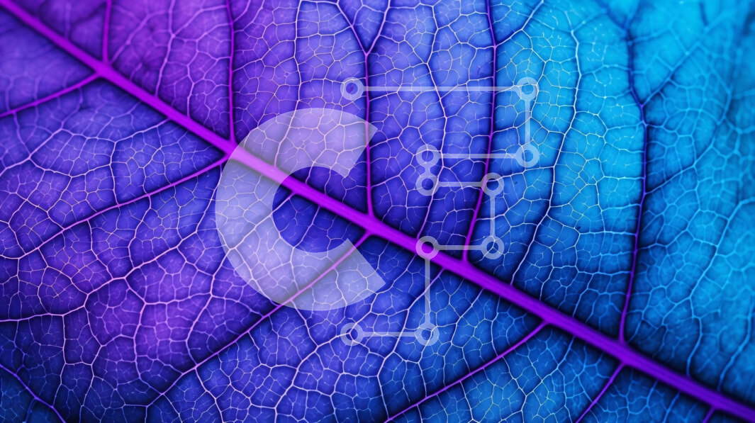 Intra Συλλεκτικό Ξύλινο Παζλ Plywood  4mm - Κοντινό πλάνο ενός ζωντανού μπλε και μοβ φύλλου Σε Ξύλινο Κουτί - Διαστάσεις: 10x10 cm – 25 κομμάτια