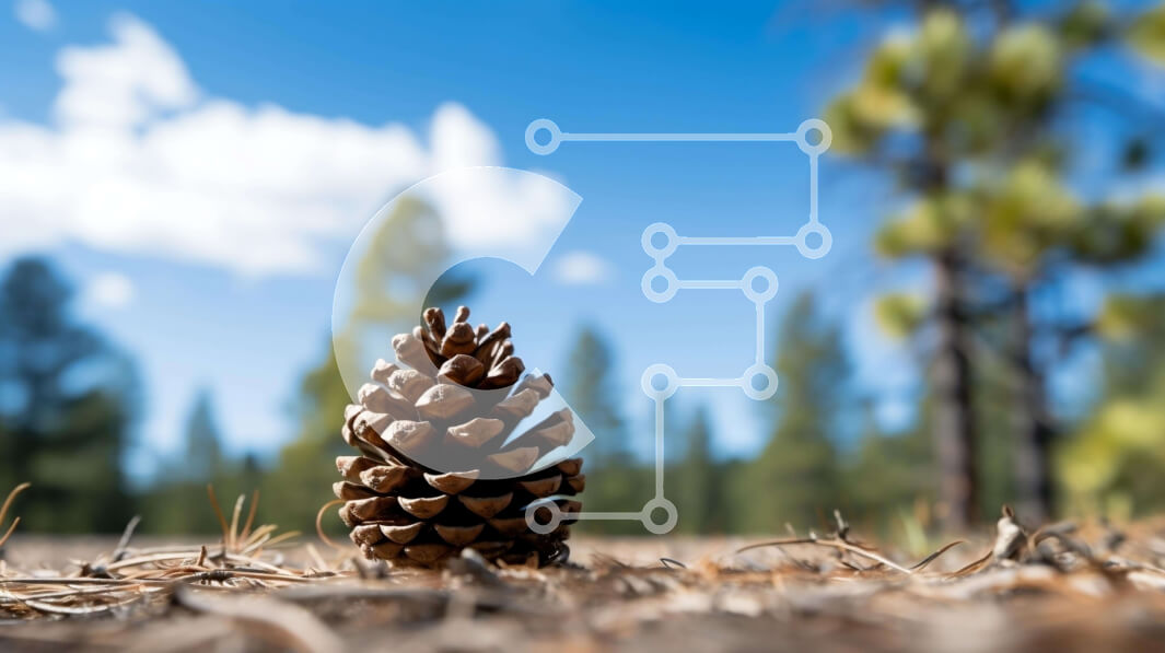 Intra Συλλεκτικό Ξύλινο Παζλ Plywood  4mm - Πεύκο στο έδαφος μπροστά από τα δέντρα Σε Ξύλινο Κουτί - Διαστάσεις: 10x10 cm – 25 κομμάτια