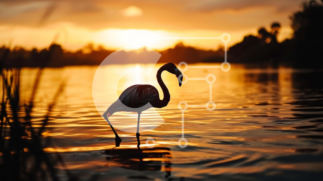 Intra Συλλεκτικό Ξύλινο Παζλ Plywood  4mm - Ροζ φλαμίνγκο που στέκεται στο νερό στο ηλιοβασίλεμα Σε Ξύλινο Κουτί - Διαστάσεις: 10x10 cm – 25 κομμάτια