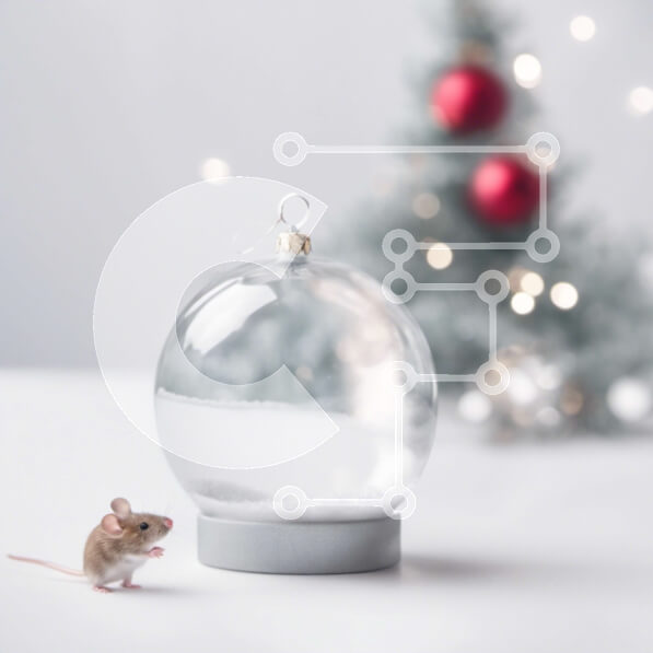 Intra Συλλεκτικό Ξύλινο Παζλ Plywood  4mm - Εορταστικό χριστουγεννιάτικο ποντίκι σε γυάλινη μπάλα στολίδι Σε Ξύλινο Κουτί - Διαστάσεις Puzzle: 10x10 cm – 25 κομμάτια