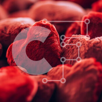 Intra Συλλεκτικό Ξύλινο Παζλ Plywood  4mm - Σωρός από κόκκινα γεμιστά ζώα σε σχήμα καρδιάς Σε Ξύλινο Κουτί - Διαστάσεις Puzzle: 10x10 cm – 25 κομμάτια - Image 1