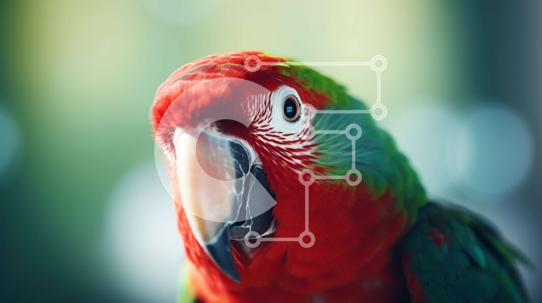 Intra Συλλεκτικό Ξύλινο Παζλ Plywood  4mm - Κόκκινος και πράσινος παπαγάλος που κοιτάζει την κάμερα Σε Ξύλινο Κουτί - Διαστάσεις: 10x10 cm – 25 κομμάτια