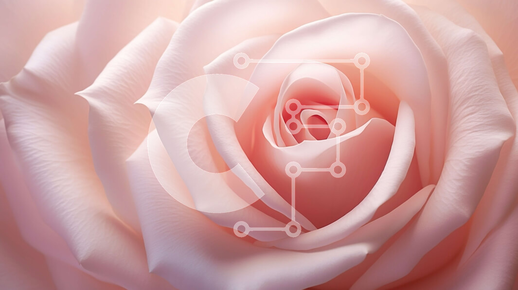 Intra Συλλεκτικό Ξύλινο Παζλ Plywood  4mm - Όμορφη κοντινή εικόνα ενός ροζ τριαντάφυλλου σε πλήρη άνθιση Σε Ξύλινο Κουτί - Διαστάσεις: 10x10 cm – 25 κομμάτια