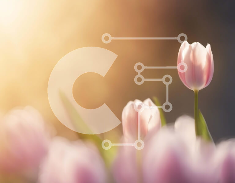 Intra Συλλεκτικό Ξύλινο Παζλ Plywood  4mm - Πεδίο με ροζ τουλίπες με ήλιο που λάμπει Σε Ξύλινο Κουτί - Διαστάσεις: 10x10 cm – 25 κομμάτια