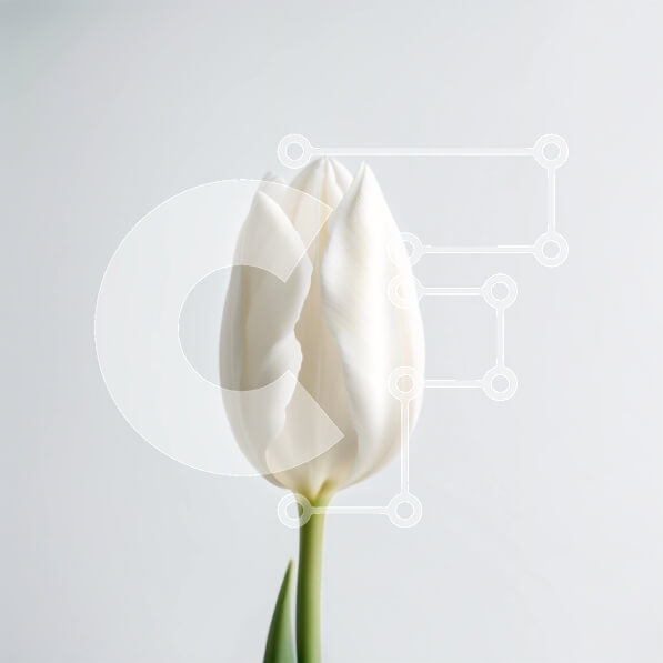 2imZ532xKm1azm4uyd1eu1DOXhQ-desktop