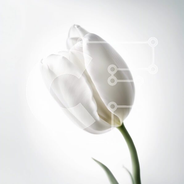 2imZ5FmzYZ9fHLdTF2HLcLHT6Jh-desktop