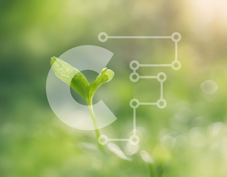 Intra Συλλεκτικό Ξύλινο Παζλ Plywood  4mm - Μικρό πράσινο φυτό που αναπτύσσεται από γρασίδι Σε Ξύλινο Κουτί - Διαστάσεις: 10x10 cm – 25 κομμάτια