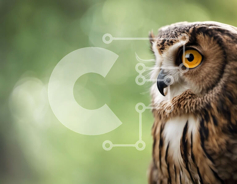 Intra Συλλεκτικό Ξύλινο Παζλ Plywood  4mm - Κοντινή όψη του προσώπου μιας κουκουβάγιας Σε Ξύλινο Κουτί - Διαστάσεις: 10x10 cm – 25 κομμάτια