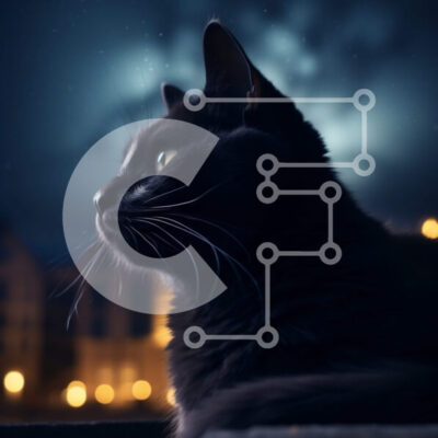 Intra Συλλεκτικό Ξύλινο Παζλ Plywood  4mm - Όμορφη εικόνα της Μαύρης Γάτας στο Nighttime Windowsill Σε Ξύλινο Κουτί - Διαστάσεις: 10x10 cm – 25 κομμάτια - Image 1