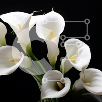Intra Συλλεκτικό Ξύλινο Παζλ Plywood  4mm - White Calla Lilies σε βάζο Σε Ξύλινο Κουτί - Διαστάσεις: 10x10 cm – 25 κομμάτια - Image 1