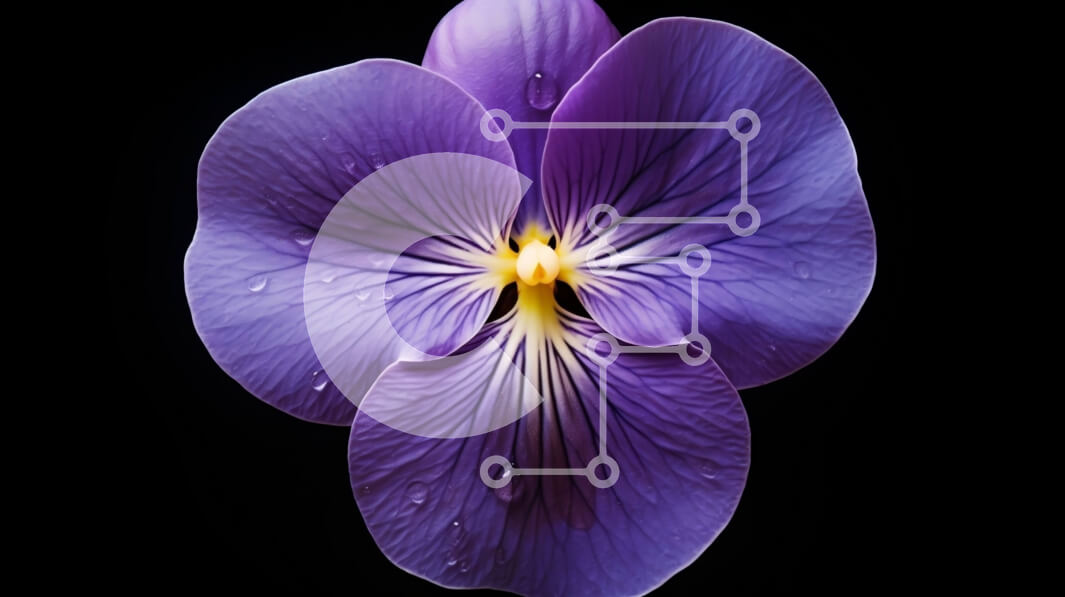 Intra Συλλεκτικό Ξύλινο Παζλ Plywood  4mm - Μωβ λουλούδι με σταγονίδια νερού Σε Ξύλινο Κουτί - Διαστάσεις: 10x10 cm – 25 κομμάτια