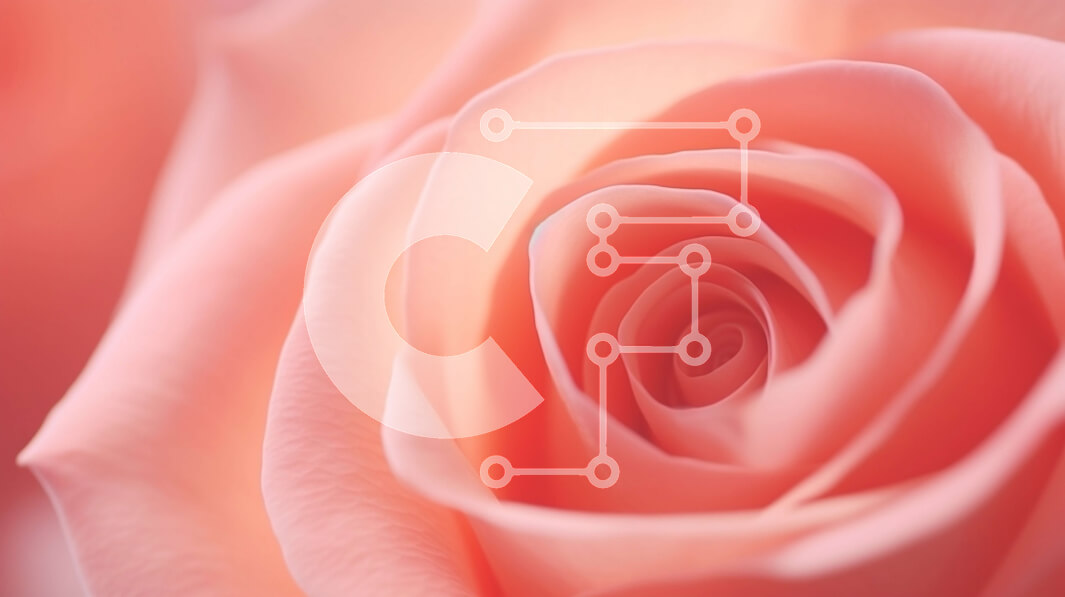 Intra Συλλεκτικό Ξύλινο Παζλ Plywood  4mm - Κοντινό πλάνο του πορτοκαλιού τριαντάφυλλου στην άνθιση Σε Ξύλινο Κουτί - Διαστάσεις: 10x10 cm – 25 κομμάτια