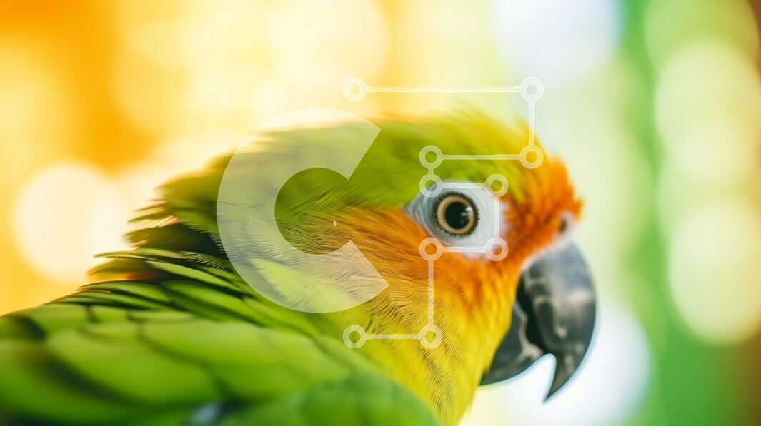 Intra Συλλεκτικό Ξύλινο Παζλ Plywood  4mm - Πολύχρωμος παπαγάλος σε ζωντανό φόντο Σε Ξύλινο Κουτί - Διαστάσεις: 10x10 cm – 25 κομμάτια