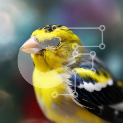 Intra Συλλεκτικό Ξύλινο Παζλ Plywood  4mm - Κίτρινο πουλί με ασπρόμαυρες ρίγες στο κεφάλι και το στήθος Σε Ξύλινο Κουτί - Διαστάσεις: 10x10 cm – 25 κομμάτια - Image 1