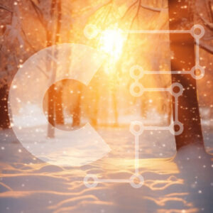 Intra Συλλεκτικό Ξύλινο Παζλ Plywood  4mm - Χιονισμένη χειμερινή σκηνή με τα δέντρα Σε Ξύλινο Κουτί - Διαστάσεις Puzzle: 10x10 cm – 25 κομμάτια