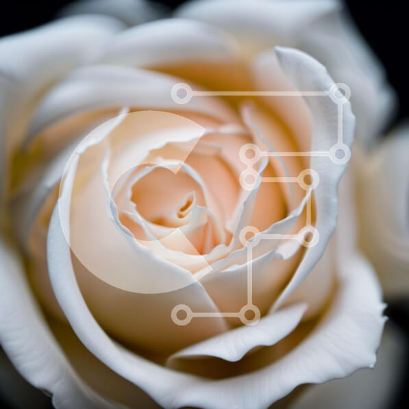 2imZTlT0Efbkv5fRzk4UXg3JJaj-desktop