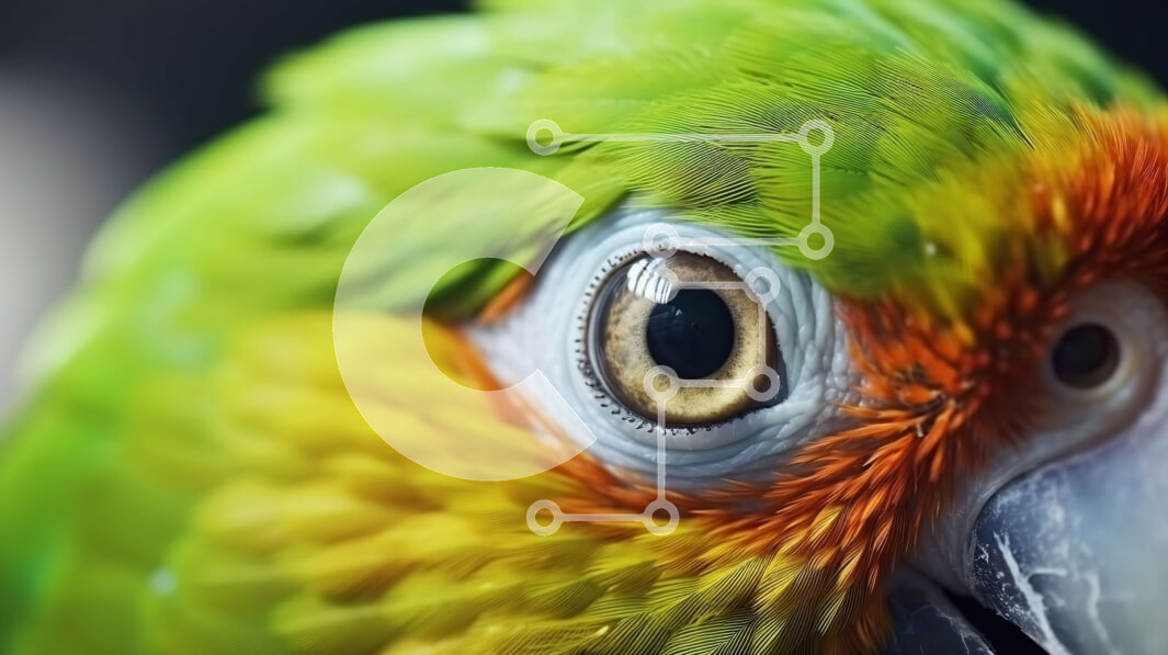 Intra Συλλεκτικό Ξύλινο Παζλ Plywood  4mm - Κοντινή εικόνα του πράσινου και πορτοκαλί παπαγάλου Σε Ξύλινο Κουτί - Διαστάσεις: 10x10 cm – 25 κομμάτια