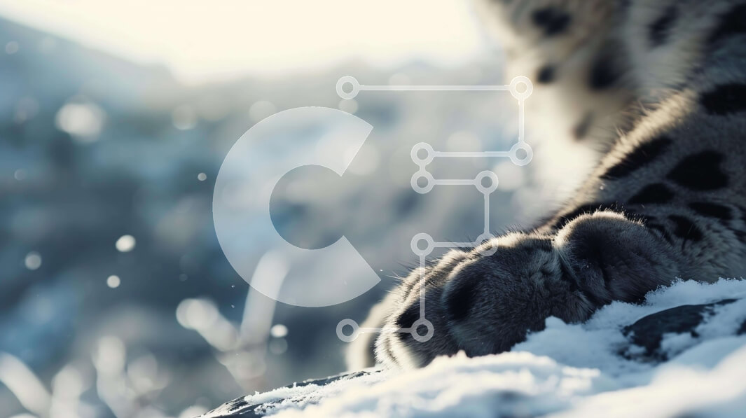 Intra Συλλεκτικό Ξύλινο Παζλ Plywood  4mm - Πόδι λεοπάρδαλης χιονιού με νιφάδες χιονιού Σε Ξύλινο Κουτί - Διαστάσεις: 10x10 cm – 25 κομμάτια