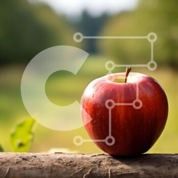 Intra Συλλεκτικό Ξύλινο Παζλ Plywood  4mm - Φρέσκο ​​μήλο σε ένα ξύλινο κούτσουρο σε μια ρύθμιση του δάσους Σε Ξύλινο Κουτί - Διαστάσεις: 10x10 cm – 25 κομμάτια - Image 1