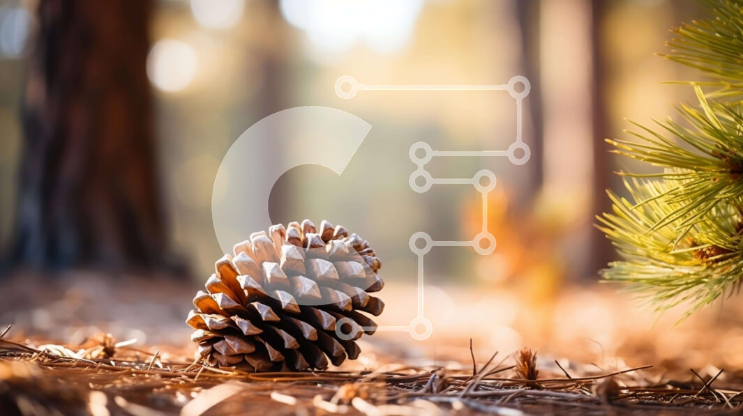 Intra Συλλεκτικό Ξύλινο Παζλ Plywood  4mm - Πεύκο στο δάσος Σε Ξύλινο Κουτί - Διαστάσεις: 10x10 cm – 25 κομμάτια