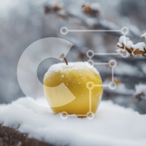 Intra Συλλεκτικό Ξύλινο Παζλ Plywood  4mm - Χιονισμένο κίτρινο μήλο σε κλαδί μηλιάς Σε Ξύλινο Κουτί - Διαστάσεις: 10x10 cm – 25 κομμάτια