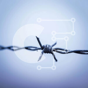 Intra Συλλεκτικό Ξύλινο Παζλ Plywood  4mm - Φράχτη από συρματοπλέγματα με κόμπους Σε Ξύλινο Κουτί - Διαστάσεις: 10x10 cm – 25 κομμάτια